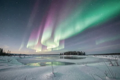 Aurore boréale verte et violette au-dessus d'une forêt enneigée arctique avec reflet sur un lac gelé